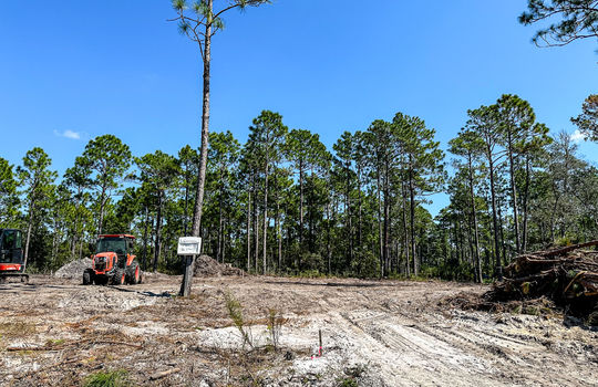 The Highlands at Boiling Spring Lakes - Example Homes and Streetscapes