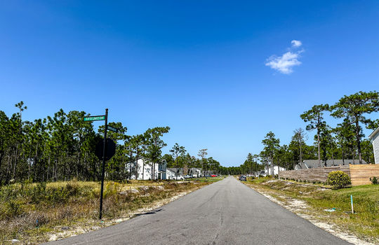 The Highlands at Boiling Spring Lakes - Example Homes and Streetscapes