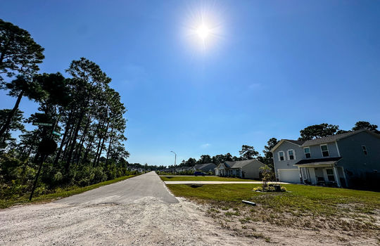 The Highlands at Boiling Spring Lakes - Example Homes and Streetscapes