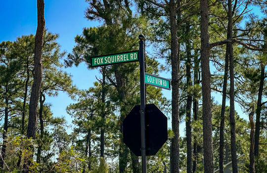 The Highlands at Boiling Spring Lakes - Example Homes and Streetscapes