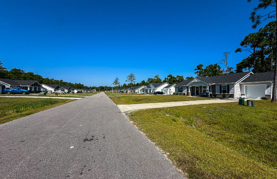 The Highlands at Boiling Spring Lakes - Example Homes and Streetscapes