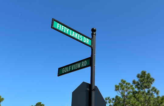 The Highlands at Boiling Spring Lakes - Example Homes and Streetscapes