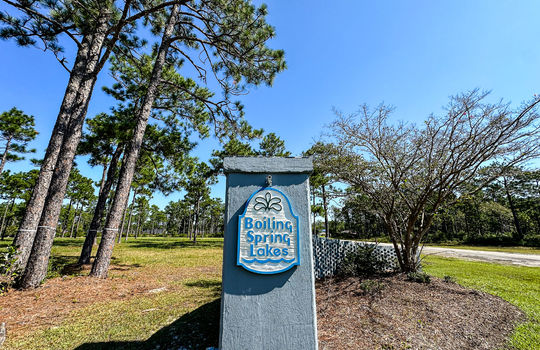 The Highlands at Boiling Spring Lakes - Example Homes and Streetscapes