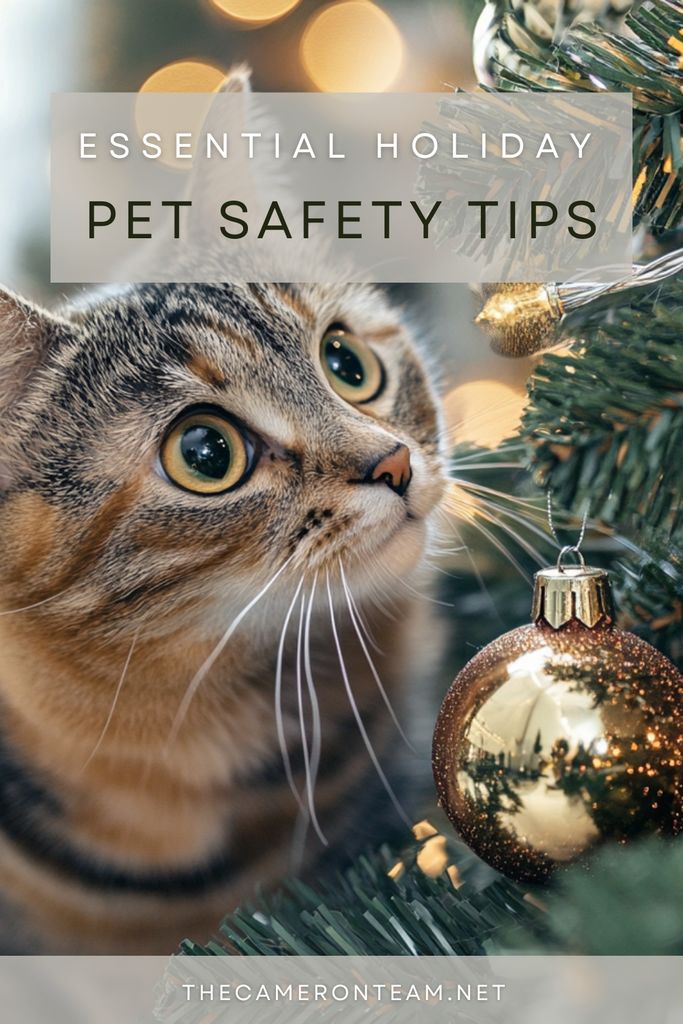 Essential Pet Safety Tips for a Happy, Healthy Holiday Season