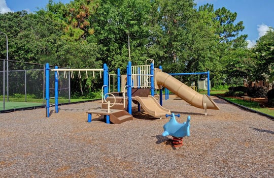 Carriage Hills - Playground