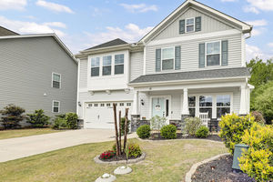 41 Milano Court, Hampstead, NC 28443 - Villages at Olde Point