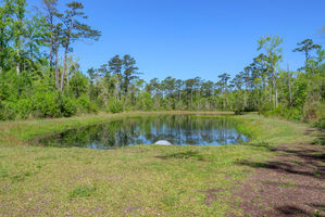 The Villages at Olde Point - Greenspace