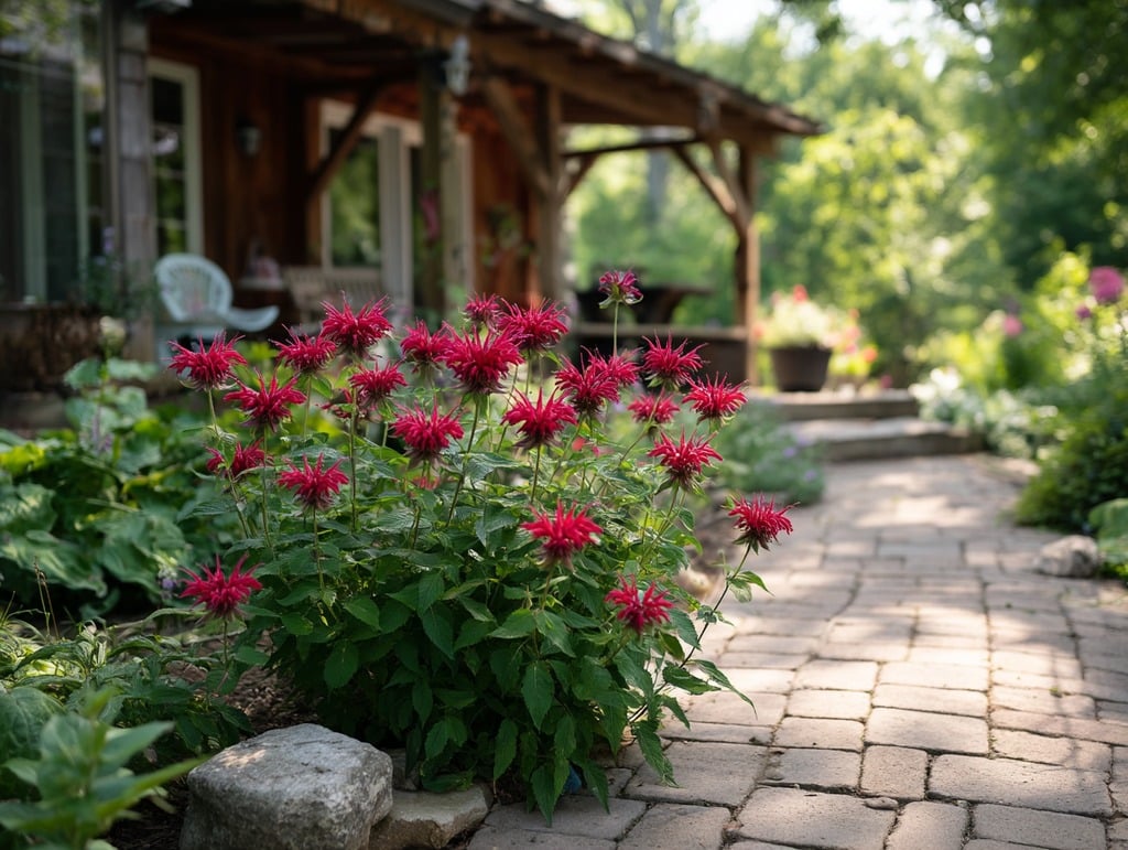 Beebalm (Monarda didyma)