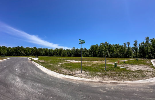 Brookfield Branch - In Development