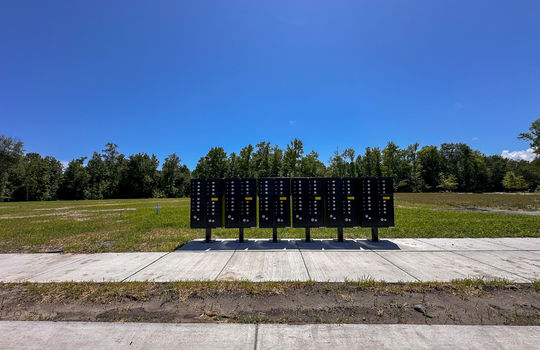 Brookfield Branch - In Development