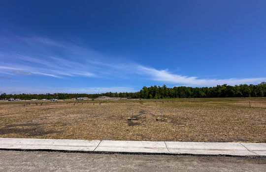 Brookfield Branch - In Development