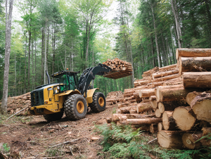Timber