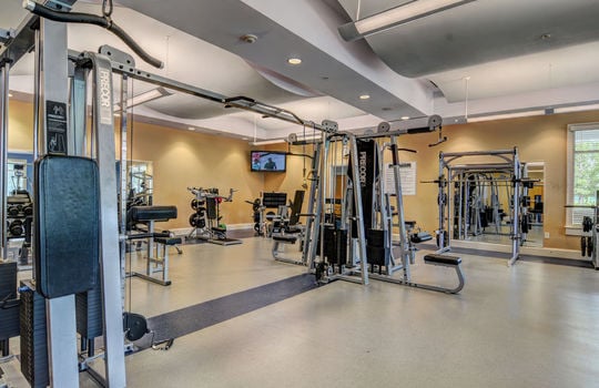 054_dsc_0384_5_6_234