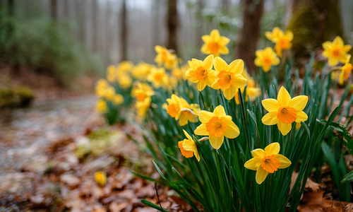 What You Should Be Doing in Your Coastal North Carolina &hellip;