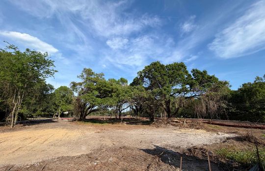 Shoreline - In Development