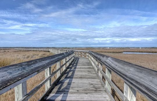 044_turtle_cove_6_450
