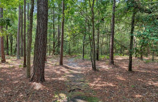 200 Shore Point Drive, Wilmington, NC 28411 | Bayshore Crossing
