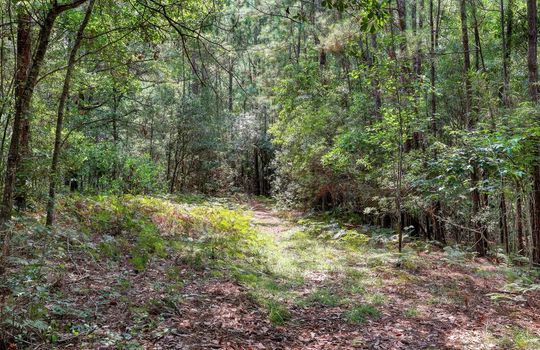 200 Shore Point Drive, Wilmington, NC 28411 | Bayshore Crossing