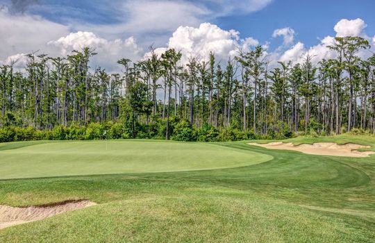 2276 Low Country Boulevard, Leland, NC 28451 | Brunswick Forest
