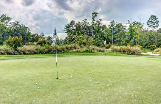 2276 Low Country Boulevard, Leland, NC 28451 | Brunswick Forest
