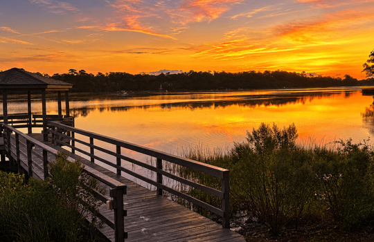 7115 E Creeks Edge Dr, Wilmington, NC 28409 | Cove Point