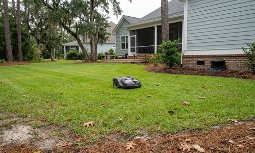 Are Robot Mowers Worth It for Coastal Carolina Yards?