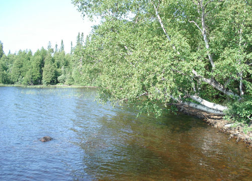 Lake
