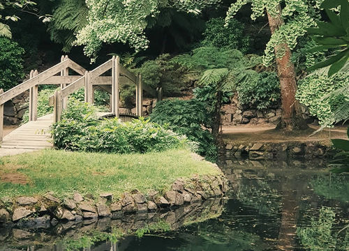 fiona-smallwood-rA2t29hZj1s-unsplash-1