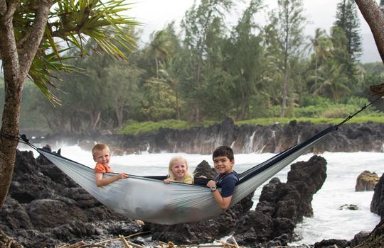 28795370_10155312579591464_5699279227921104896_o