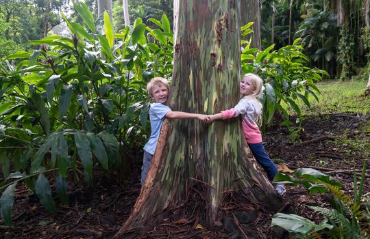 52345638_10156015397416464_2006738050746417152_o