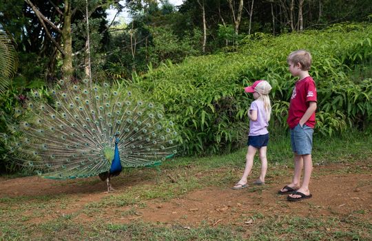 61337444_10156225118406464_4238692607263244288_o