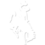 Richard Realty Website – Wyoming Cowboy