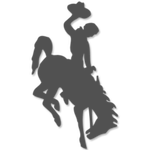 Richard Realty Website – Wyoming Cowboy Black