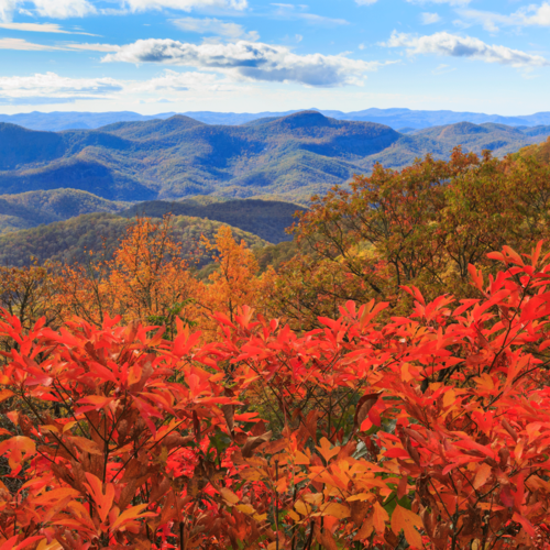 Fall Means Seasonal Chores for Highlands NC Homes