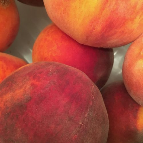 Summer Means Fresh Fare on the Highlands Plateau