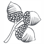 Lone Acorn Gray 51555b