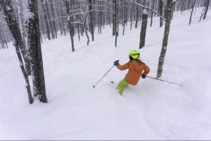 Girl skiing in the trees