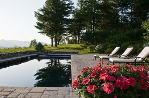 Pool with flowers