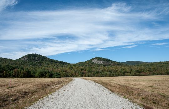 Road at Otter Brook