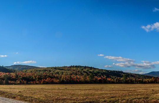 Panoramic of Otter Brook lots