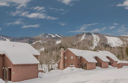 South Ridge Townhouses