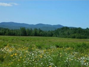 Lot 12 Otter Brook Road, Bethel, ME