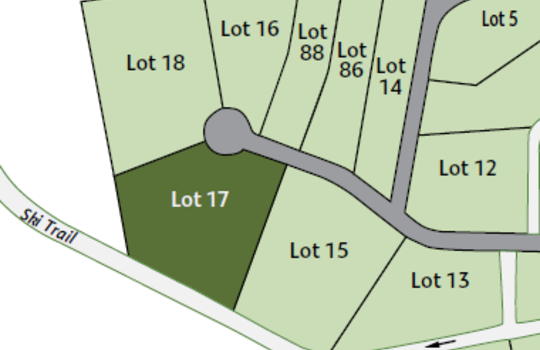 Lot 17