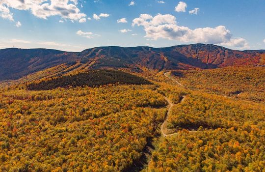 Merrill Hill Foliage View