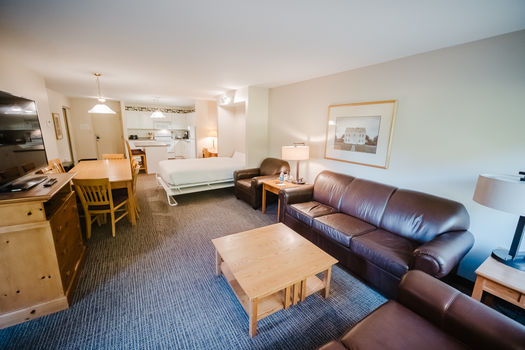 unit 123 living area