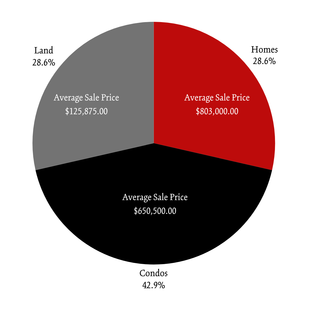 Winter 2024 Newry POM