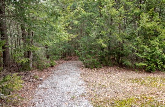 23 Spruce Way-38 resize