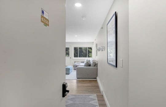 brooksidea306-2