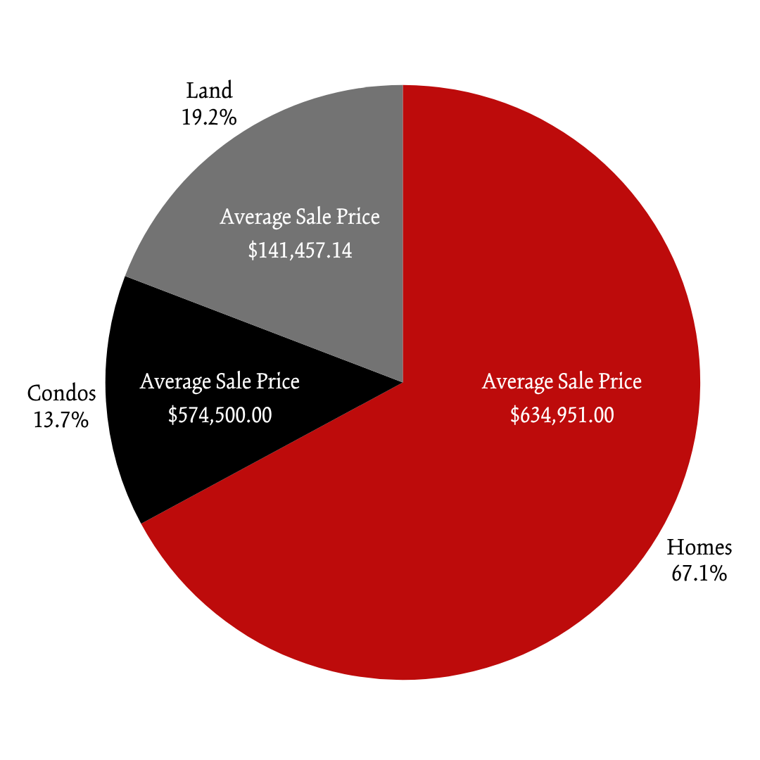 Summer 2025 Whole Market