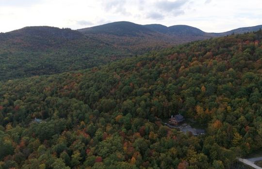 View5
